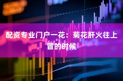 配资专业门户一花：菊花肝火往上冒的时候