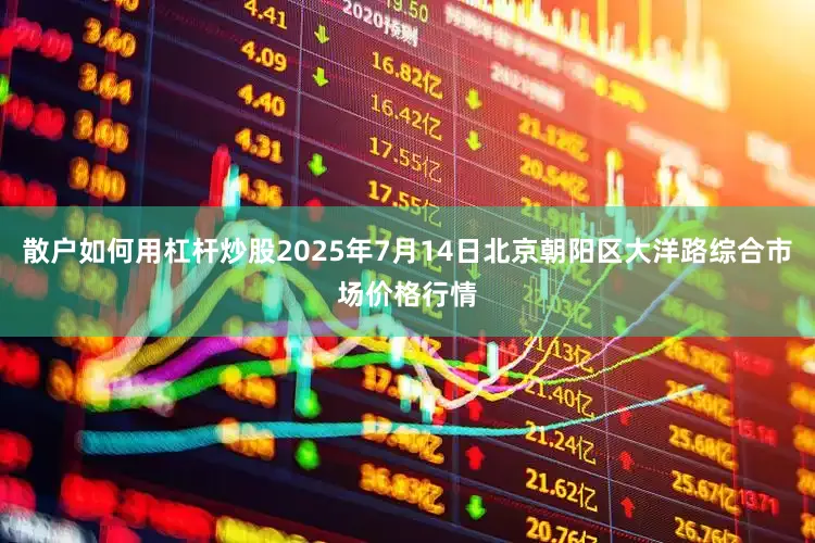 散户如何用杠杆炒股2025年7月14日北京朝阳区大洋路综合市场价格行情
