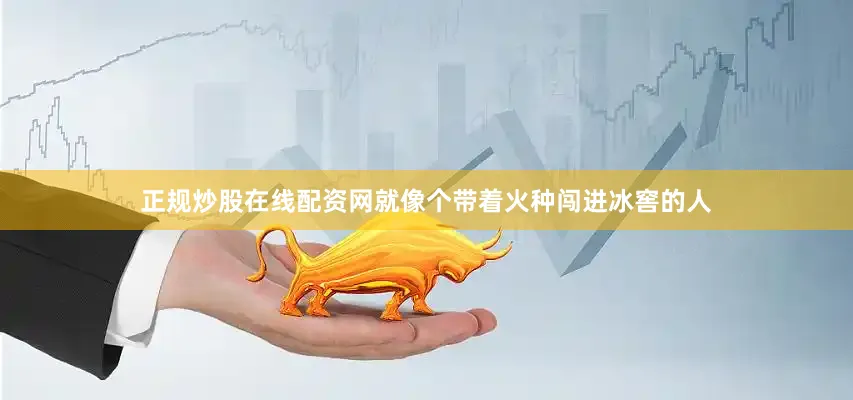 正规炒股在线配资网就像个带着火种闯进冰窖的人